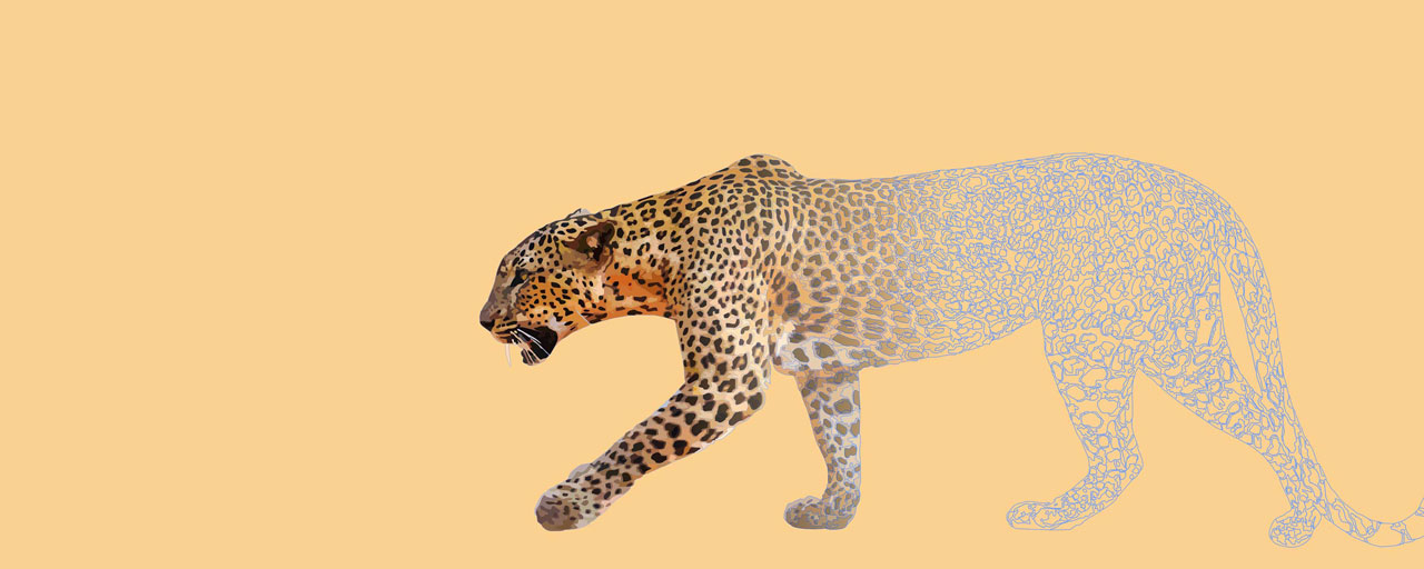 image for this item